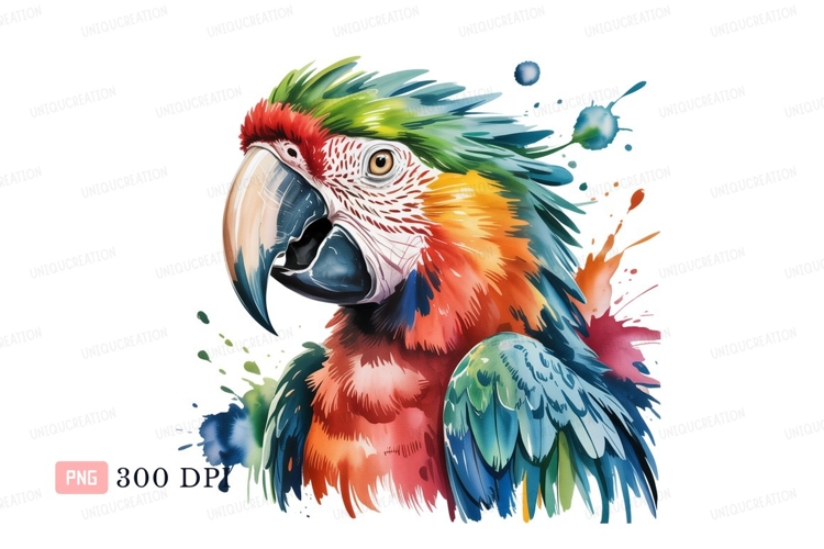 Colorful parrot head and chest bird tropical