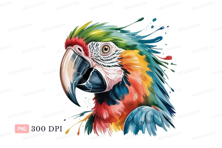 Bird Clipart Image 15