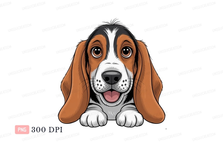 Happy Basset Hound Puppy canine