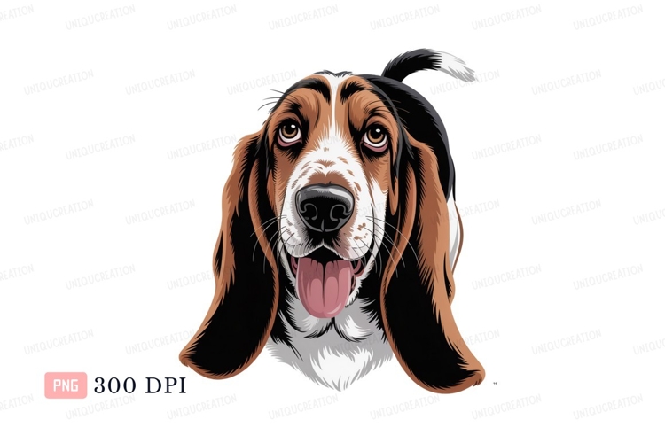 Basset hound dog portrait canine animal