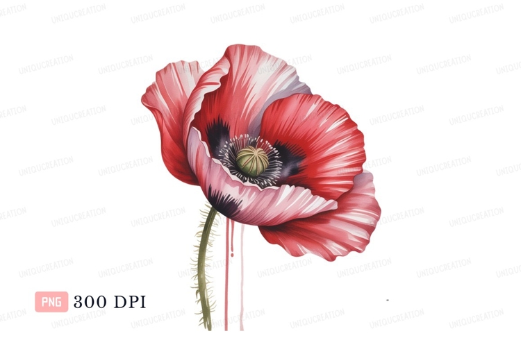Red Flower Clipart Image 17