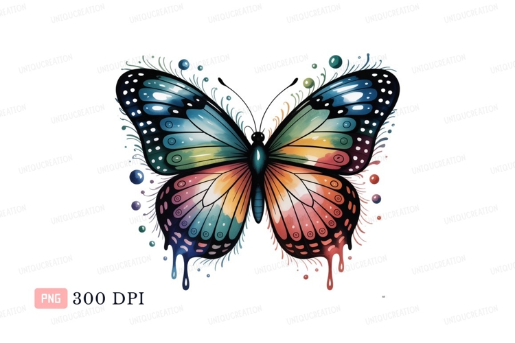 Insect Illustration Image 17