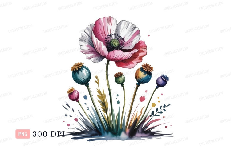 Poppy Clipart Image 9
