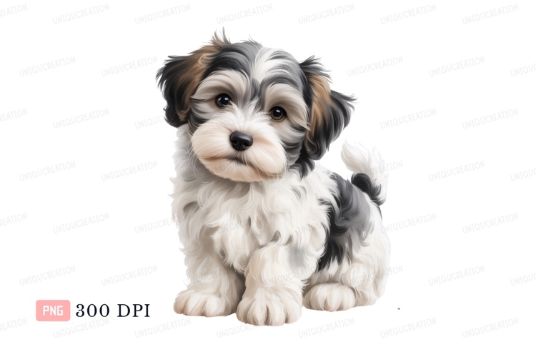 Pet Clipart Image 8