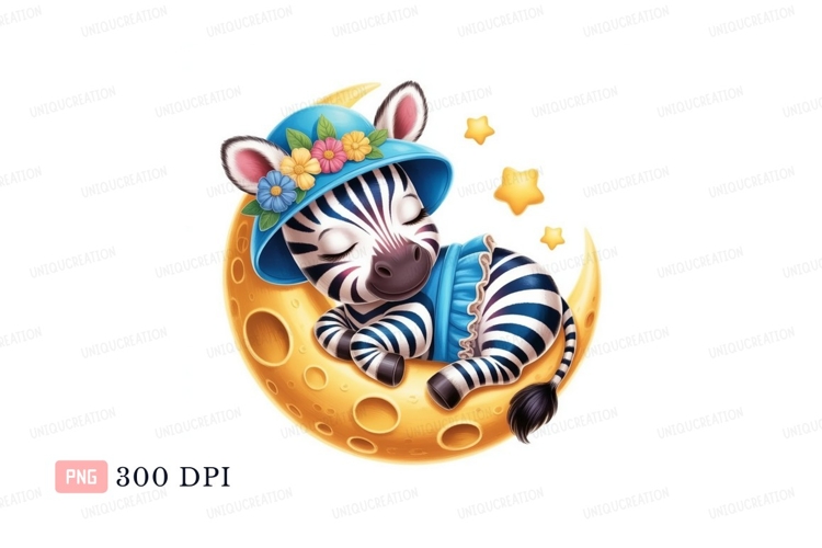 Zebra Clipart Image 13