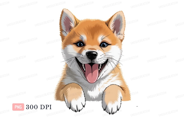 Happy Shiba Inu Puppy canine