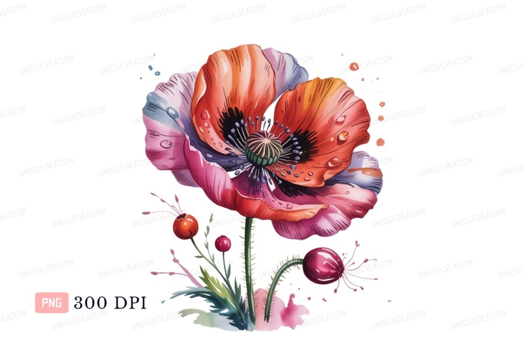 Poppy Clipart