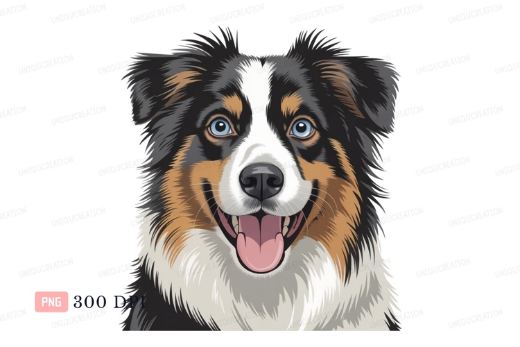 Australian Shepherd dog happy face canine