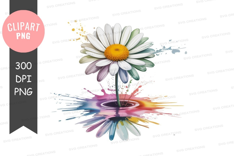 Colorful daisy water splash flower petals