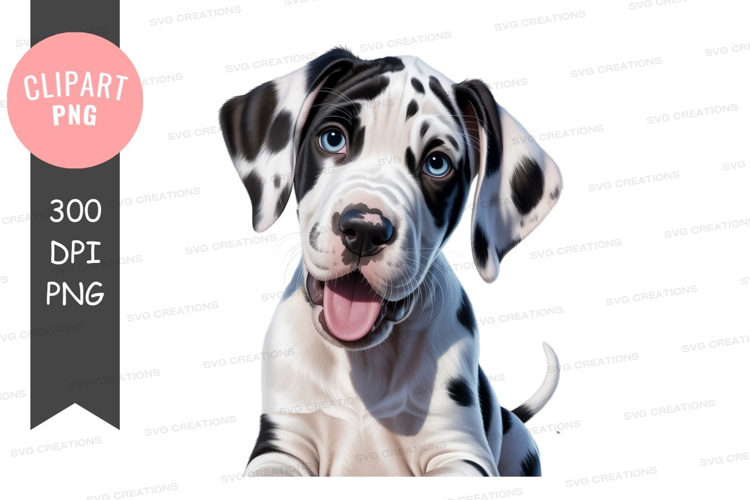 Happy harlequin great dane puppy image