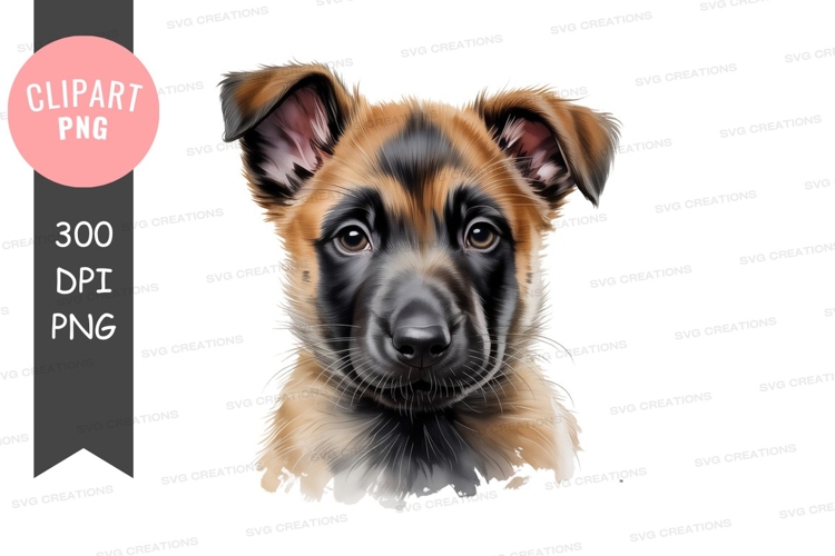 Young Shepherd Dog Portrait puppy canine