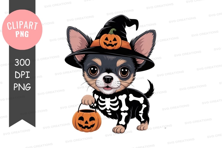 Cute chihuahua witch skeleton costume pumpkin