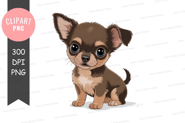 Cute brown chihuahua puppy with big blue eyes canine