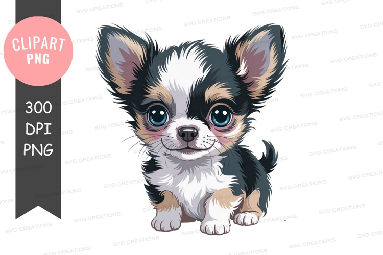 Adorable chihuahua puppy with big blue eyes canine