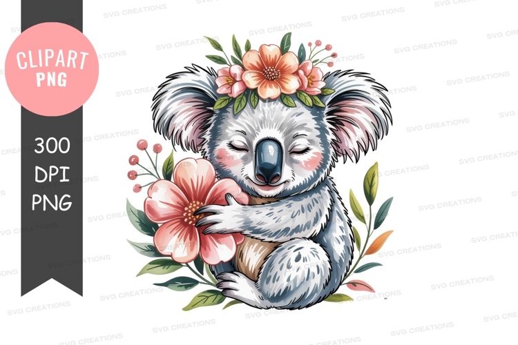 Cute Koala Pictures Image 21