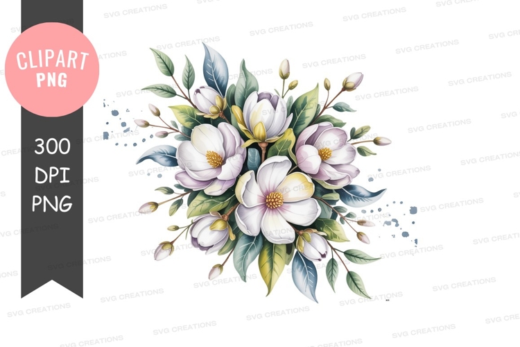 White magnolia blossoms with green leaves yellow buds