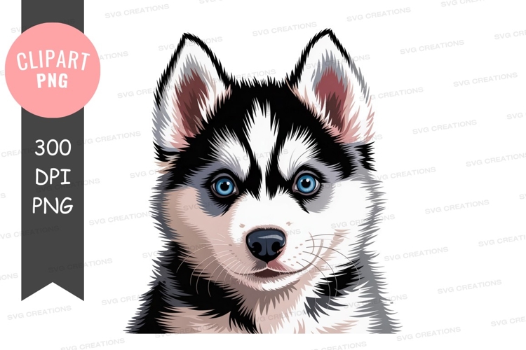 Husky puppy blue eyes black white animal canine