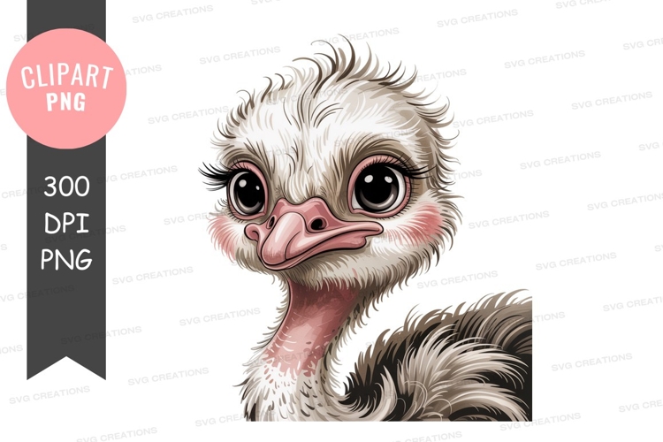 Baby ostrich with big eyes and pink cheeks bird animal