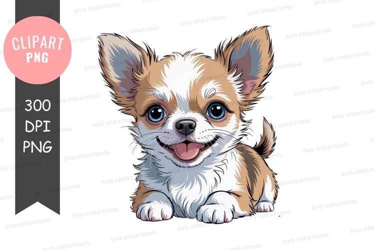 Adorable fluffy chihuahua puppy canine animal