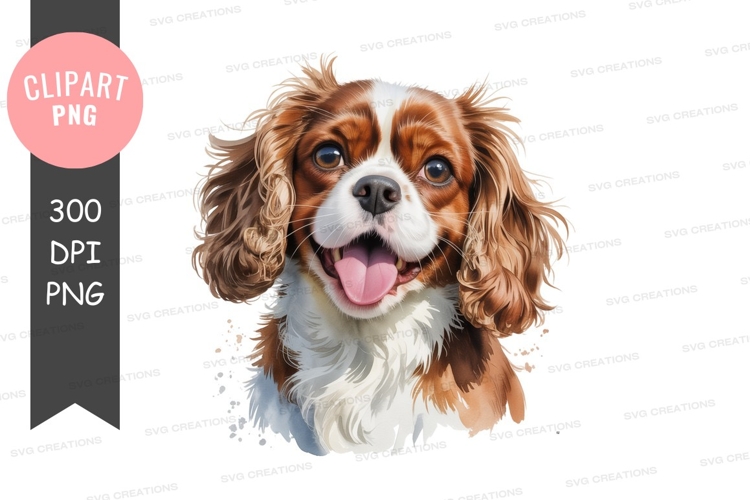 Happy Cavalier King Charles Spaniel canine animal
