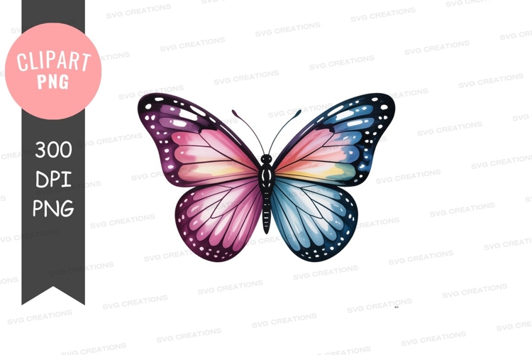 Colorful butterfly wings pink purple