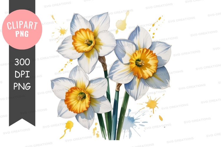 Watercolor daffodil clipart with paint splatters