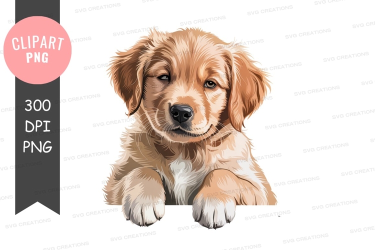 Daffodil Clipart Image 16