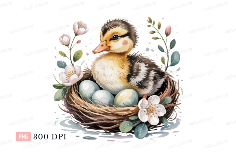 Fluffy duckling in nest with eggs flowers spring