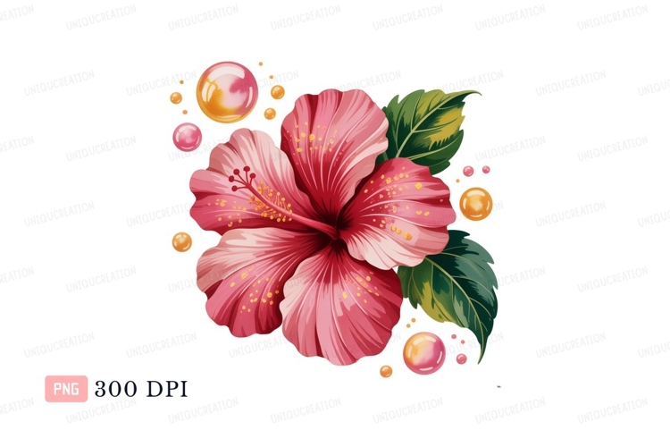 Pink hibiscus flower with green leaves and bubbles