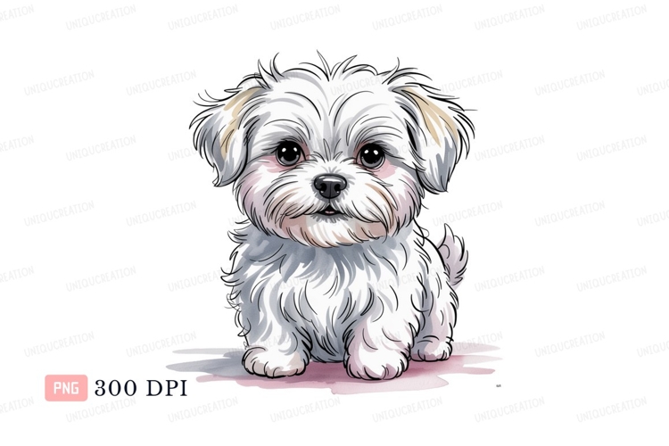 Fluffy white dog with big eyes puppy cute