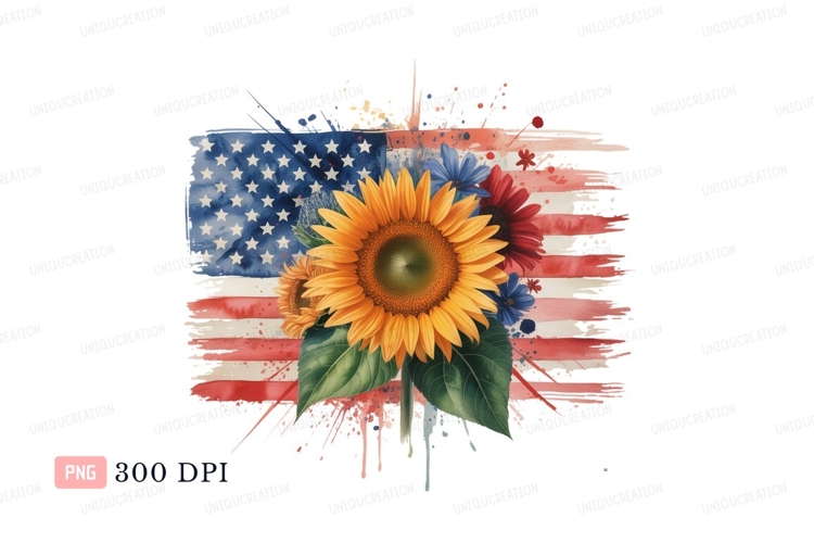 Black American Flag Clipart Image 20