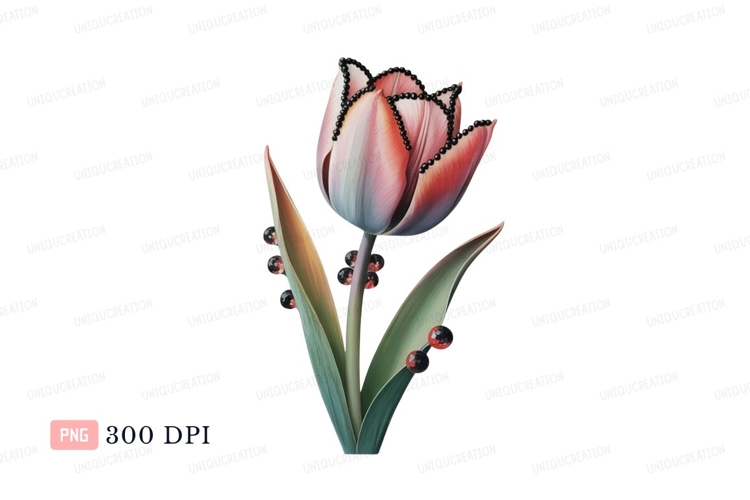 Pink tulip adorned with black beads and dew drops flower