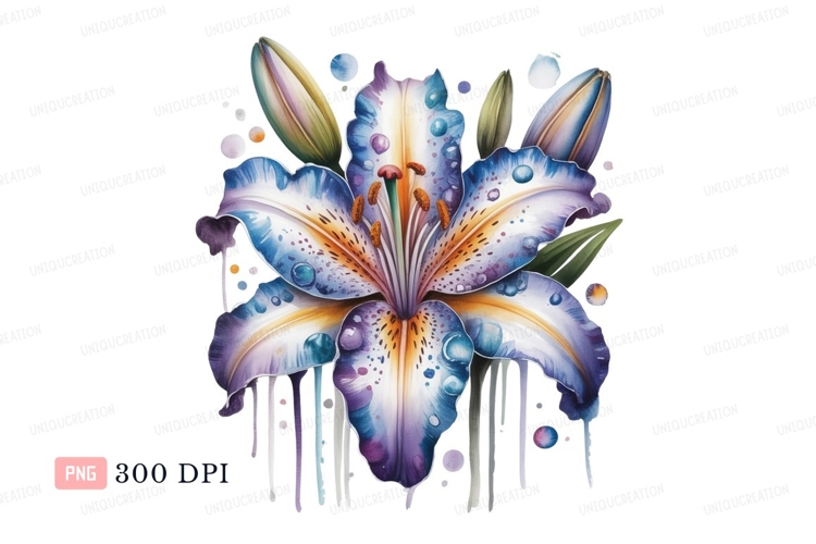 Watercolor lily bloom purple blue orange flower
