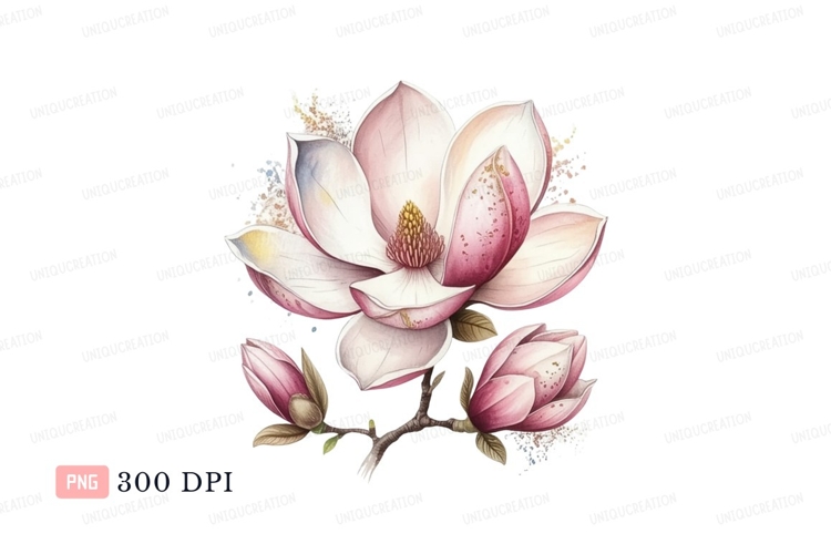 Magnolia Clipart Image 20