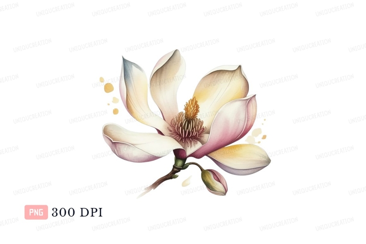 Magnolia Clipart Image 19