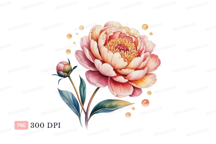 Peony Clipart Image 4
