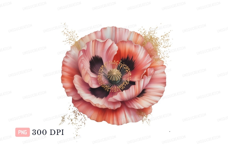 Poppy Clipart