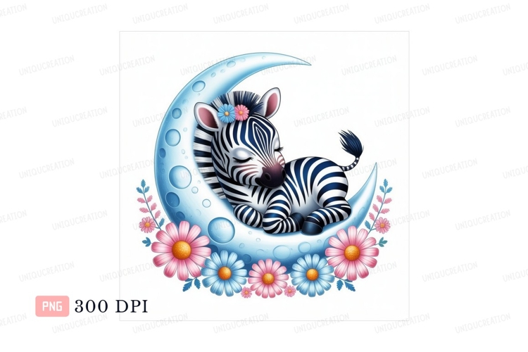 Zebra Clipart Image 12