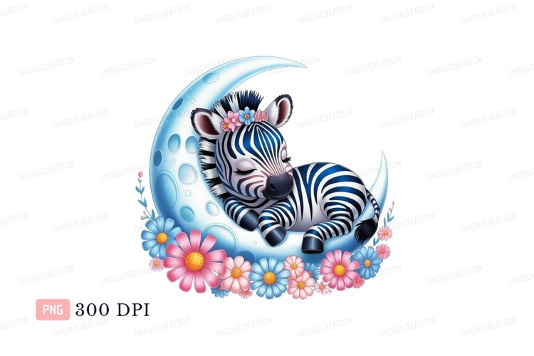 Zebra Clipart Image 11