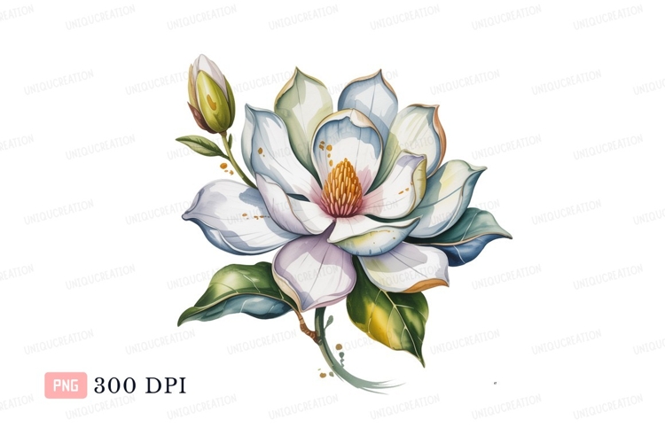Magnolia Clipart Image 18