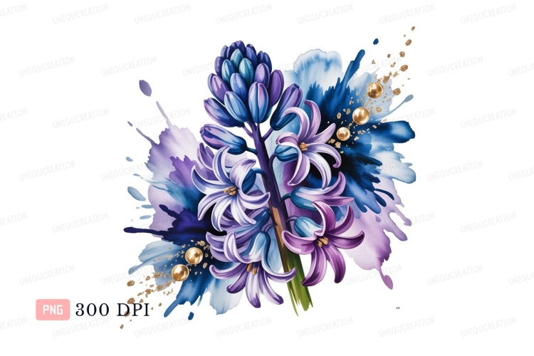 Purple blue hyacinth watercolor splash clipart P N G