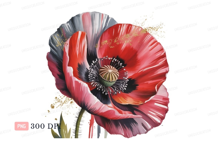 Poppy Clipart Image 21