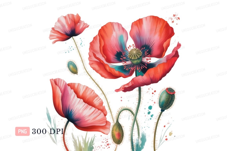 Poppy Clipart Image 14