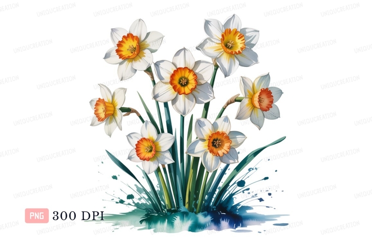Daffodils Clipart Image 3