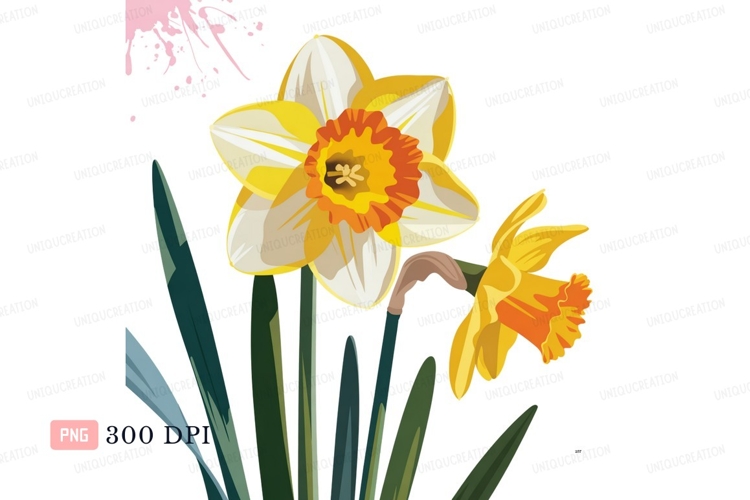 Daffodils Clipart Image 4