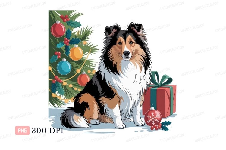 Fluffy dog festive celebration collie christmas