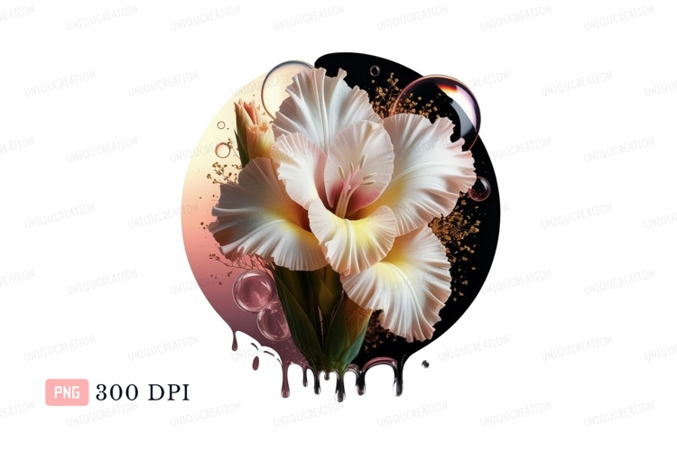 Delicate gladiolus flower with liquid drips white pink