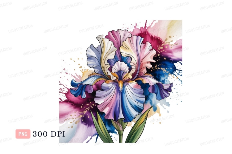 Iris Clipart