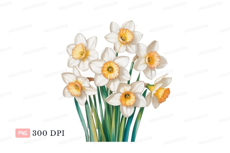Daffodils Clipart