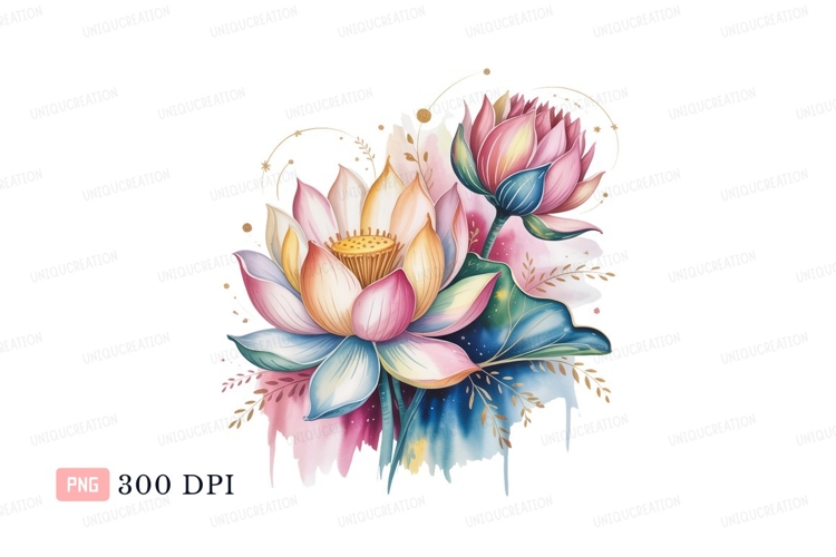 Colorful lotus flowers with gold accents bloom petal
